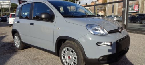 1200 EASYPOWER 69 CV PANDA ITALIA