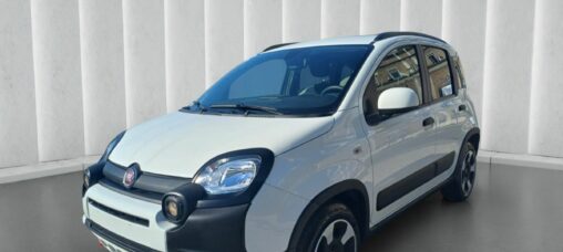 1000 HYBRID CROSS 70 CV ITALIA