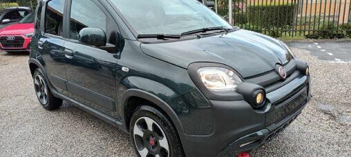 1000 HYBRID CROSS 70 CV ITALIA