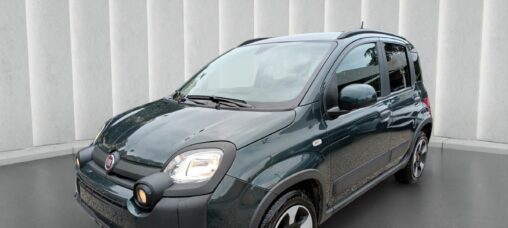 1000 HYBRID CROSS 70 CV ITALIA