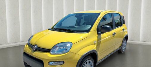 1000 HYBRID PANDINA 70 CV KM 0 ITALIA