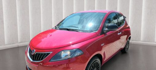 1000 HYBRID ELEFANTINO BLU 70 CV ITALIA