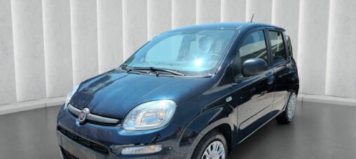 1000 HYBRID 70 CV ITALIA