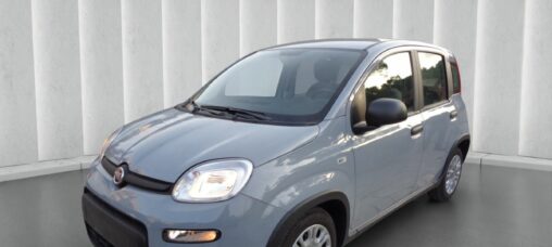 1000 HYBRID PANDA 70 CV ITALIA