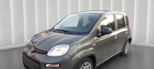 1000 HYBRID PANDA 70 CV ITALIA
