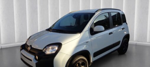 1000 HYBRID CROSS 70 CV ITALIA