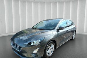 1500 ECOBLUE BUSINESS 120 CV ITALIA