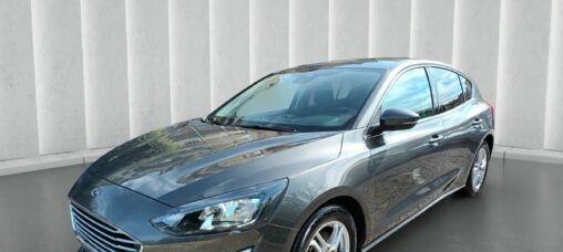 1500 ECOBLUE BUSINESS 120 CV ITALIA