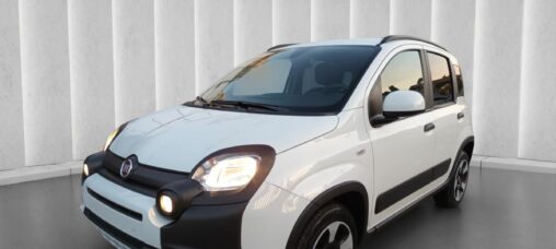 1000 HYBRID CROSS 70 CV