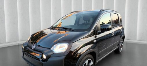 1000 HYBRID CROSS 70 CV