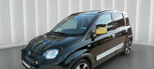 1000 HYBRID 70 CV ITALIA