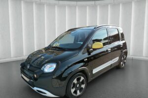 1000 HYBRID 70 CV ITALIA