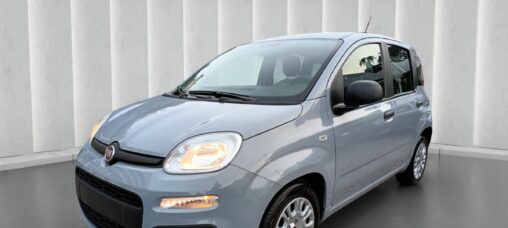 1000 HYBRID PANDA 70 CV ITALIA