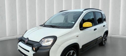 1000 HYBRID 70 CV ITALIA