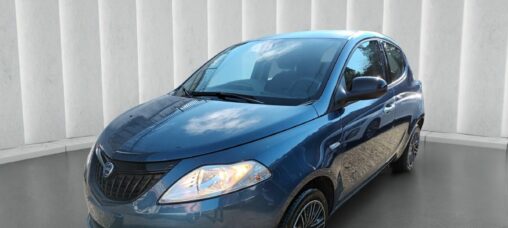 1000 HYBRID SILVER 70 CV ITALIA