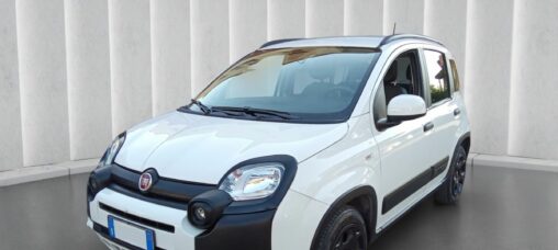 1000 HYBRID CROSS 70 CV ITALIA